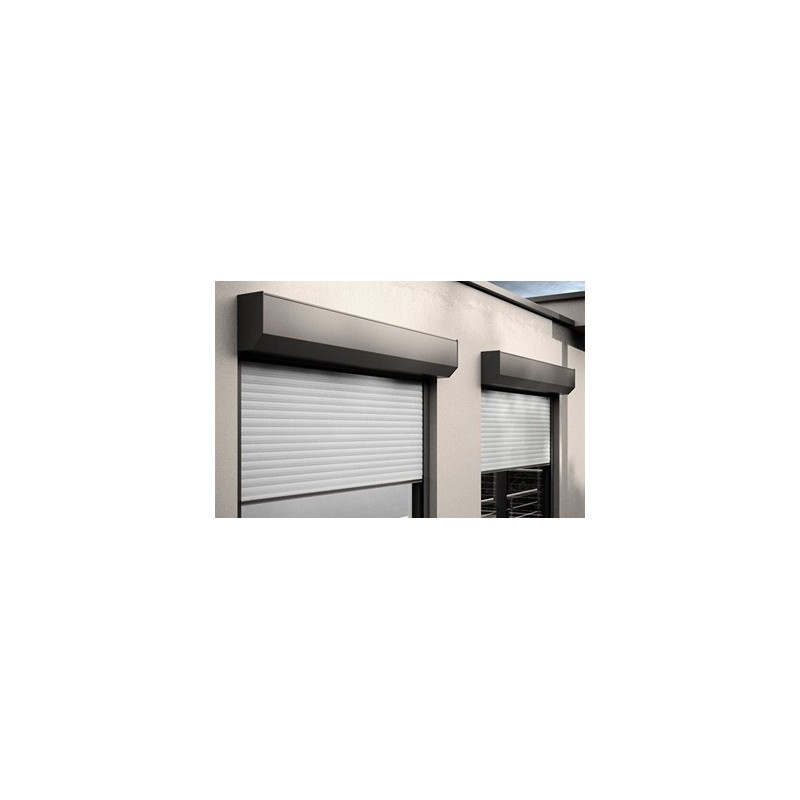 Porte de garage à enroulement